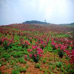 ��Ů�ֳ���ޱ������