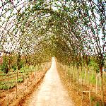 ��Ů�ֳ���ޱ������