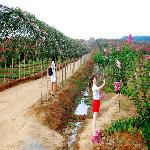 ��Ů�ֳ���ޱ������