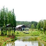 �����Ļ�������������