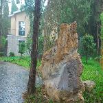 �����Ļ�������������