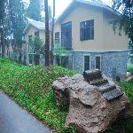 �����Ļ�������������