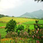 ������̫��ɽ��̫֮�ӻ���